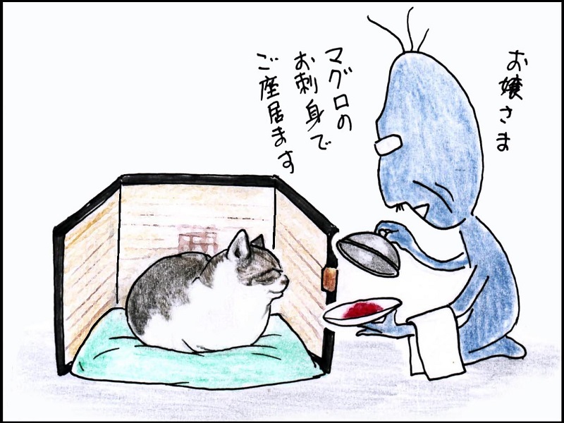 猫漫画『俺、つしま』