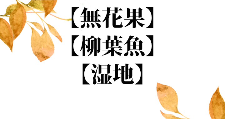 秋が旬 湿地 柳葉魚 はどんな食べ物 この漢字 読めますか Oggi Jp