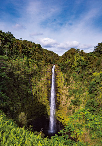 ハワイ最大の滝・アカカフォールズ