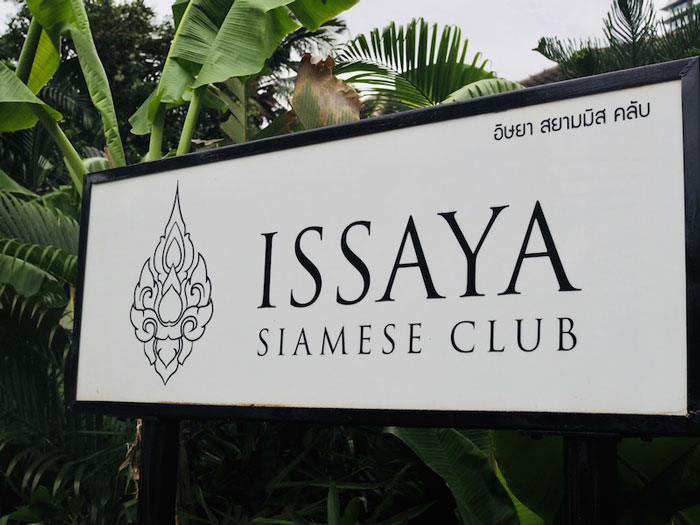 ISSAYA SIAMESE CLUB