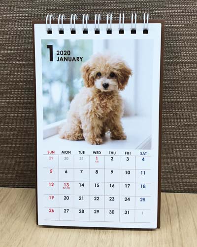カレンダー 2020 卓上タテ型 イヌ（セリア）