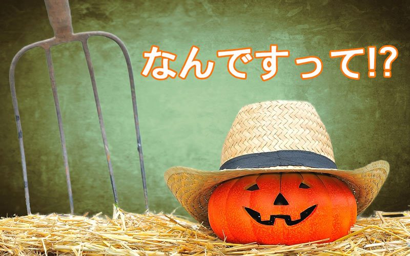 ハロウィンは収穫祭じゃなかった ズバリ 伝統を踏まえた正統派仮装はアレ Oggi Jp