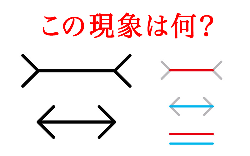 「同じ長さの直線が錯覚により片方だけ短く見える現象」はなんと言う現象？ | Oggi.jp