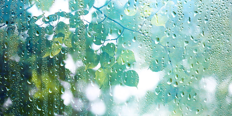 雨