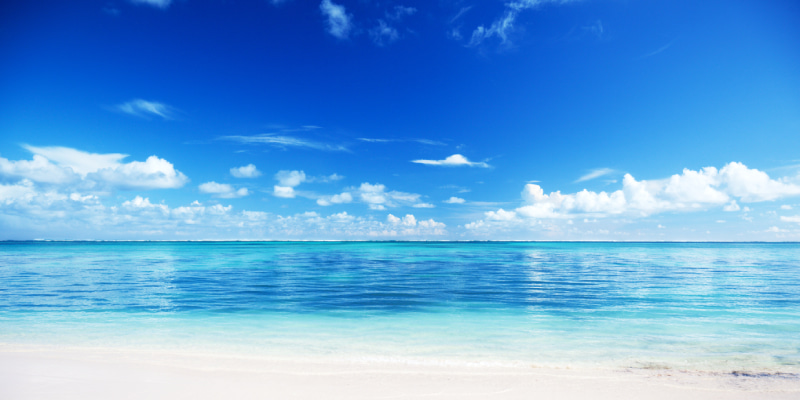 海