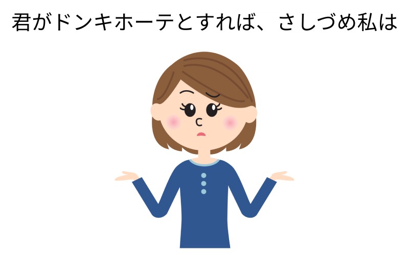 この文章合ってる 君がドンキホーテとすれば さしづめ私は の間違いはどこ Oggi Jp Oggi Jp