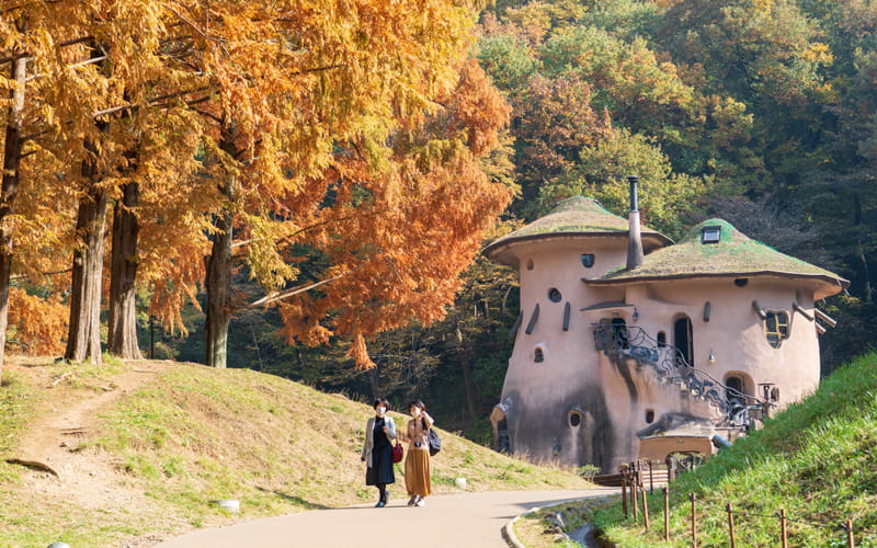 入園も駐車も無料 紅葉も素敵な トーベ ヤンソンあけぼの子どもの森公園 知ってる Oggi Jp Oggi Jp