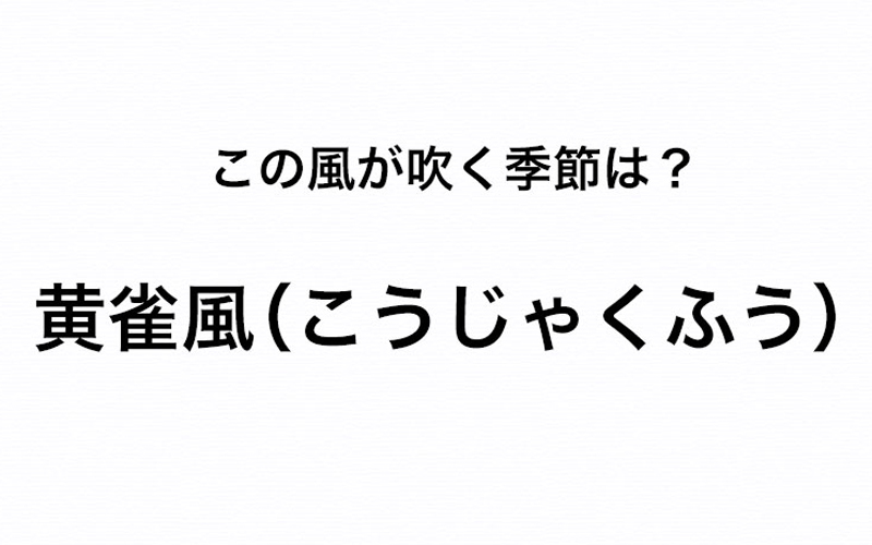 黄雀風 こうじゃくふう が吹くのはどの季節 由来もチェック Oggi Jp Oggi Jp