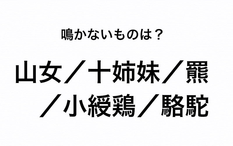 鳴きそうな漢字 なのに 実は 鳴かないもの はどーれだ Oggi Jp Oggi Jp