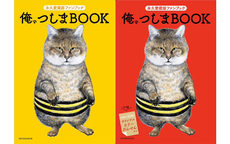 発行部数42万部超え 人気のリアル猫漫画 俺 つしまbook 発売決定 Oggi Jp Oggi Jp