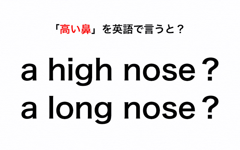 伝わる英会話講座 高い鼻 を英語で言うときは A High Nose Or A Long Nose Oggi Jp Oggi Jp