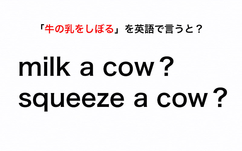 伝わる英会話講座 牛の乳をしぼる を英語で言うと Milk A Cow Or Squeeze A Cow Oggi Jp Oggi Jp