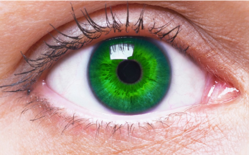 緑の目の怪物とはどういう意味ですか？