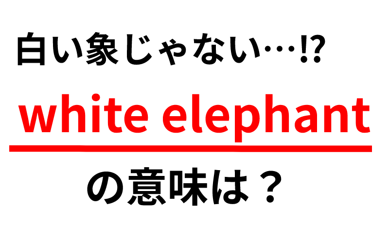 White Elephant の意味は 白い象ではなく こんな意味があった Oggi Jp Oggi Jp