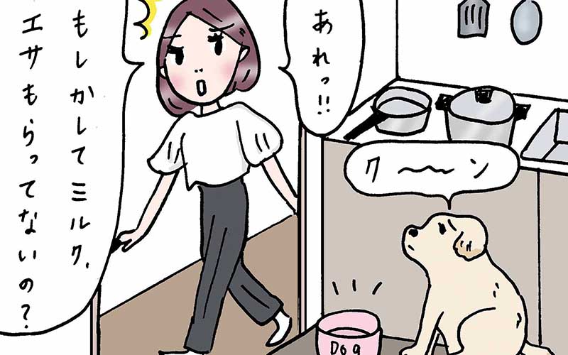 実家の犬にエサをあげたら 母に怒られた そのワケは 実話でお届け 働く女性のあれこれ Oggi Jp