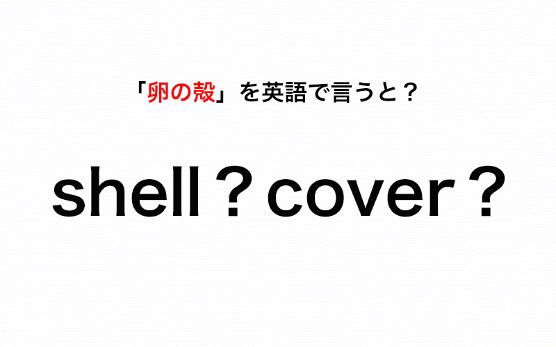 意外と知らない 卵の殻 って英語で言うと Shell Or Cover 伝わる英会話講座 Oggi Jp