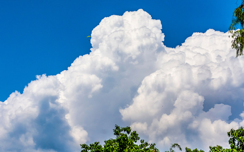 雲は形によって数え方が違う 飛行機雲は一本 ならば入道雲は 気象予報士 太田絢子が解説 Oggi Jp