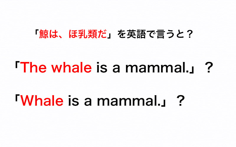 鯨は ほ乳類だ を英語で言うとき The を付ける それとも付けない 伝わる英会話講座 Oggi Jp Oggi Jp