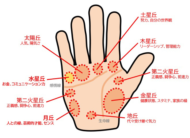 手相占い 小指の下から斜めの線は財運線 その意味や見方を占い師が教えます Oggi Jp