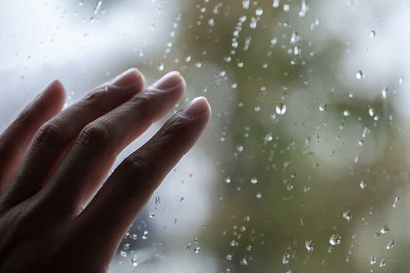 窓の外は雨が降っている