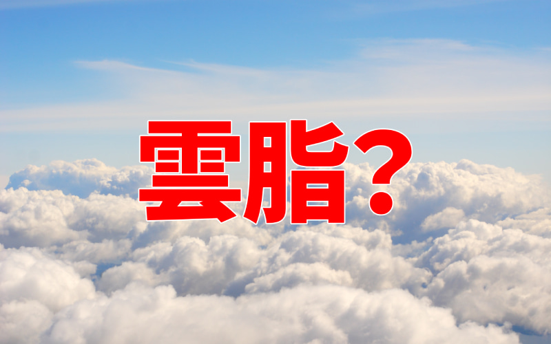 雲脂 は何と読む 意味や類語 対義語について解説 Oggi Jp Oggi Jp