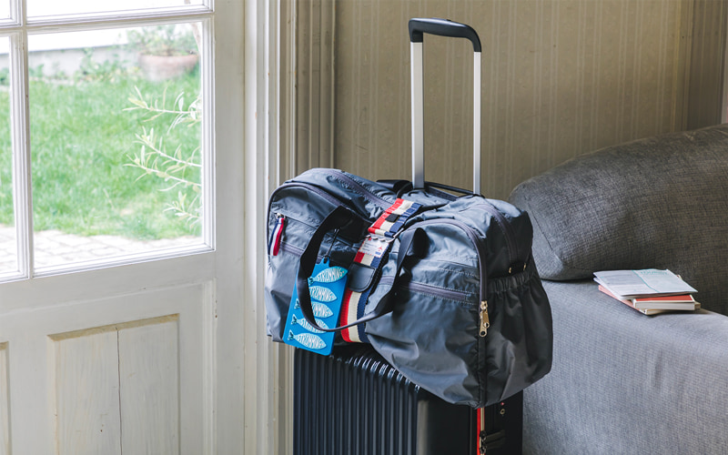バートン　ボストンバッグ　リュック　旅行　バックパック　大容量　スーツケース