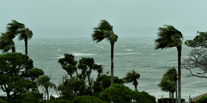 台風
