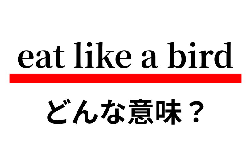 Eat Like A Bird の意味は 鳥のように食べる って Oggi Jp