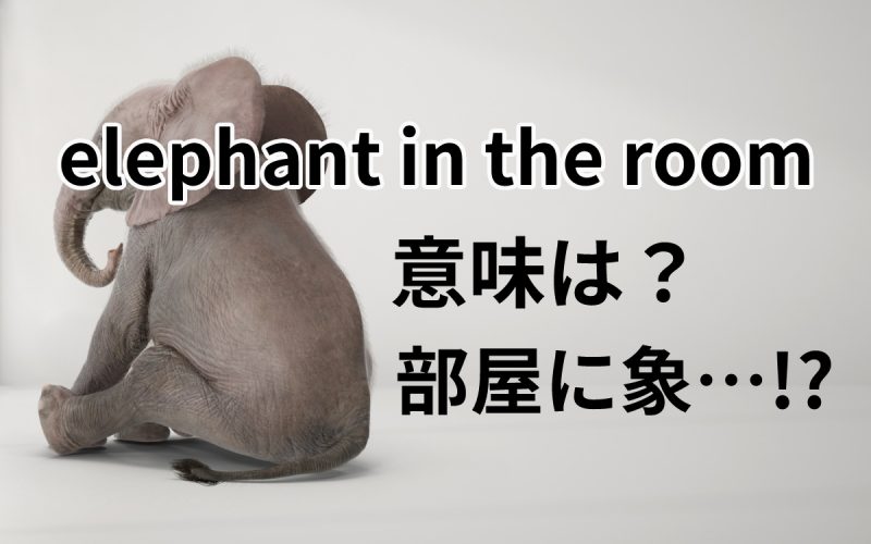 「elephant in the room」の意味は？ ゾウが部屋に… なわけない！ Oggi.jp
