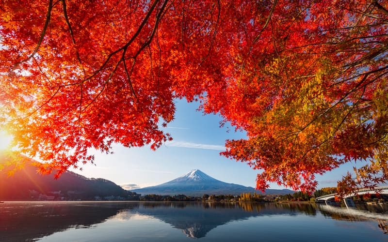 紅葉と富士山