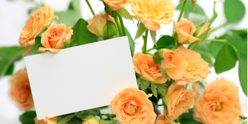 オレンジのお花を白紙のメッセージカード