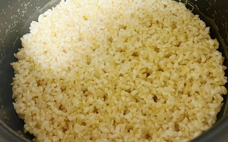 炊き立ての玄米ご飯