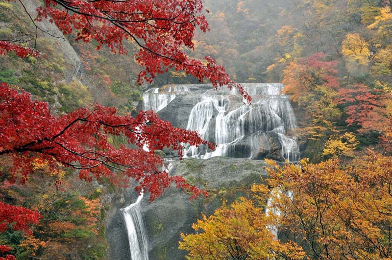 茨城 袋田の滝と紅葉