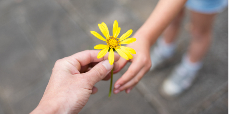 黄色の花を渡す手
