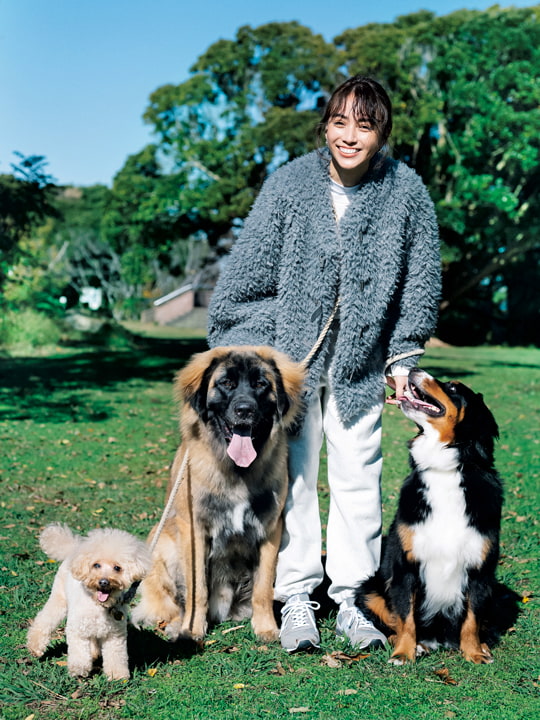 滝沢カレンさんと犬3匹