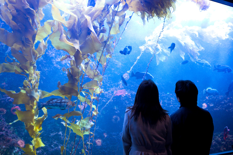 【女性100人に聞いた】付き合ってないときのデートのエピソード