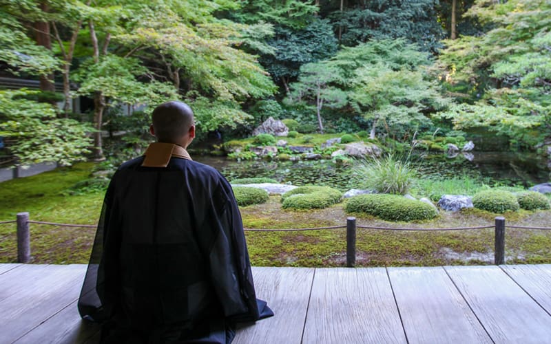 自然の景色を眺める僧侶