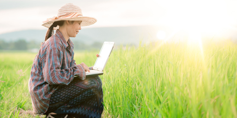 草原でパソコンを見る女性