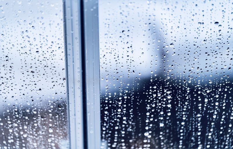 雨の日の窓越しの景色