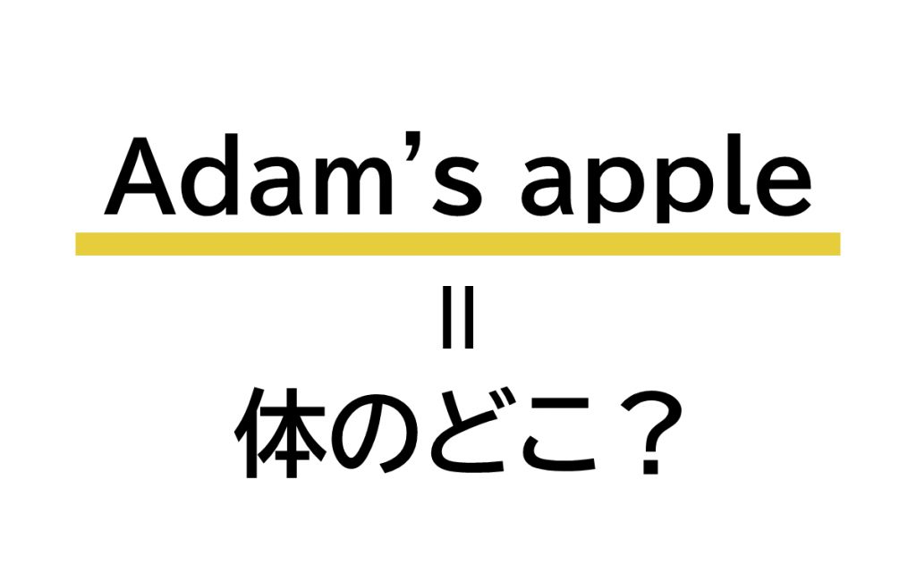 「Adam’s apple」の意味は？ 体のあの部位のこと！ 【連載 大人の英語塾】 Oggi.jp