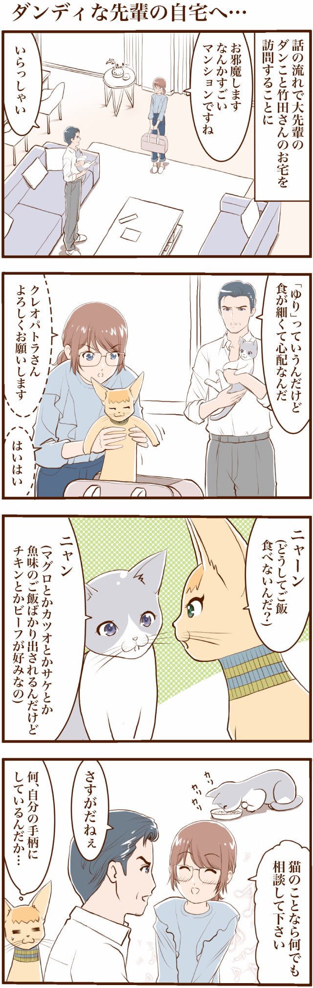 うちの猫はお節介な女王さま #81