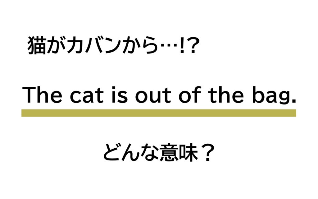 「The cat is out of the bag.」とは？ 猫がカバンから出てきた… じゃない！【連載 大人の英語塾】 Oggi.jp