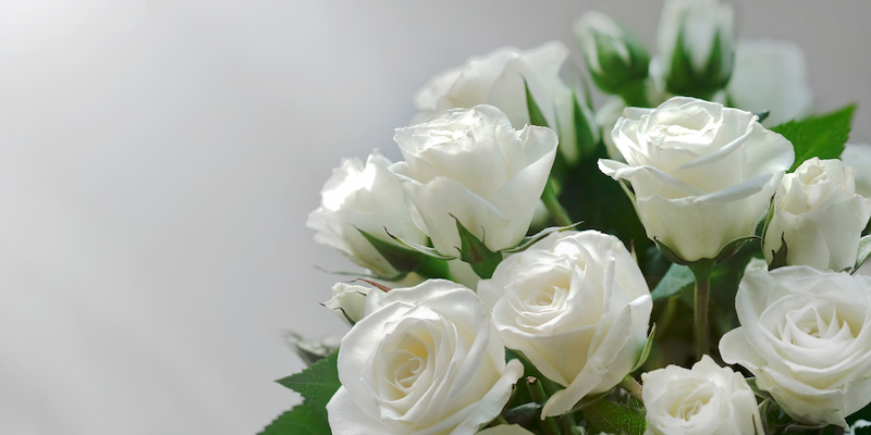 白いバラの花束