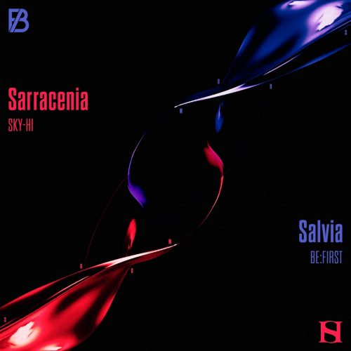 SKY-HI / BE:FIRST スプリットシングル『Sarracenia / Salvia』のジャケット写真
