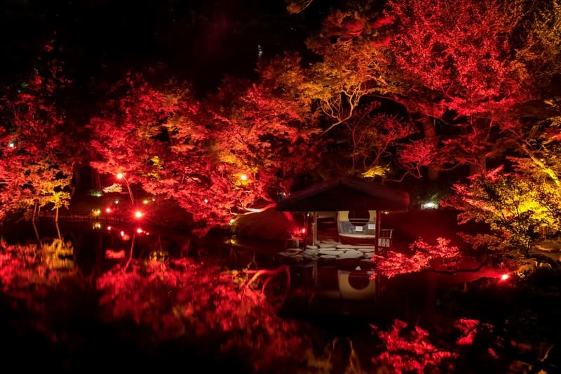 【八芳園】ライトアップイベント「TOKYO RED GARDEN AUTUMN FESTIVAL 2023」