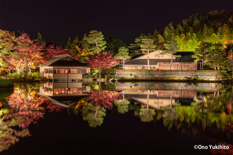 昭和記念公園・池泉回遊式の日本庭園