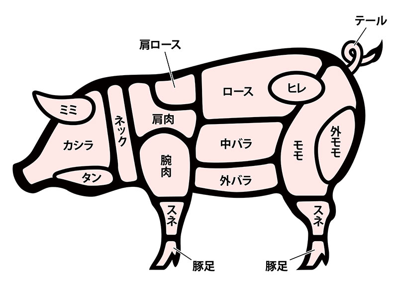 豚肉の部位図解イラスト