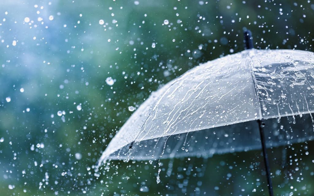 雨とビニール傘