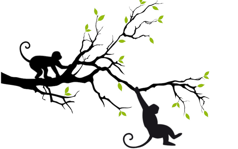 木登りしている猿のシルエットのイラスト