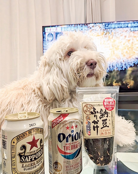 犬とビール缶